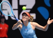  莎拉波娃经典比赛 