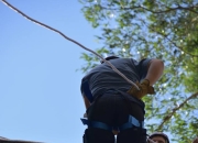 Scout连续五场比赛得分超过大胜，澳大利亚队挑战极限！的简单介绍