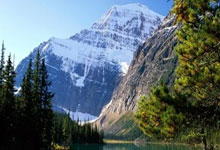 拳击夜战：蓬莱银狐队翻盘荆楚猎隼队，临门一脚致胜复盘值得玩味(拳霸1盗佛线)